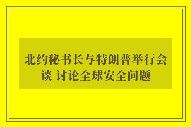 北约秘书长与特朗普举行会谈 讨论全球安全问题