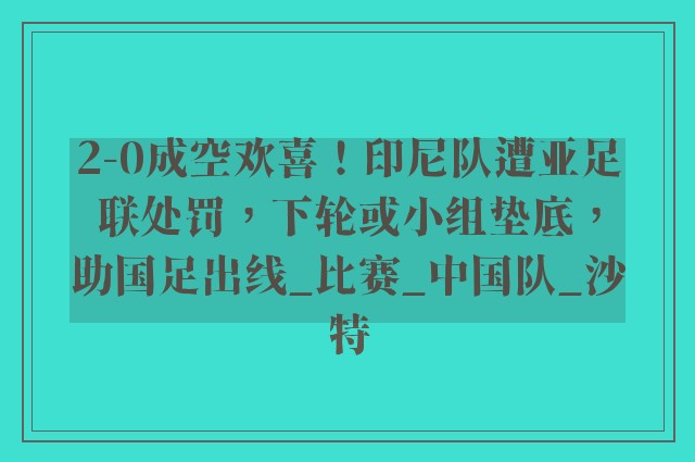 2-0成空欢喜！印尼队遭亚足联处罚，下轮或小组垫底，助国足出线_比赛_中国队_沙特