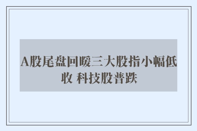 A股尾盘回暖三大股指小幅低收 科技股普跌