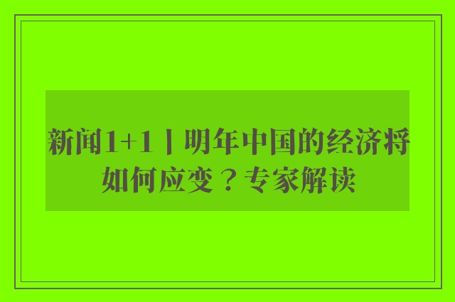 新闻1+1丨明年中国的经济将如何应变？专家解读