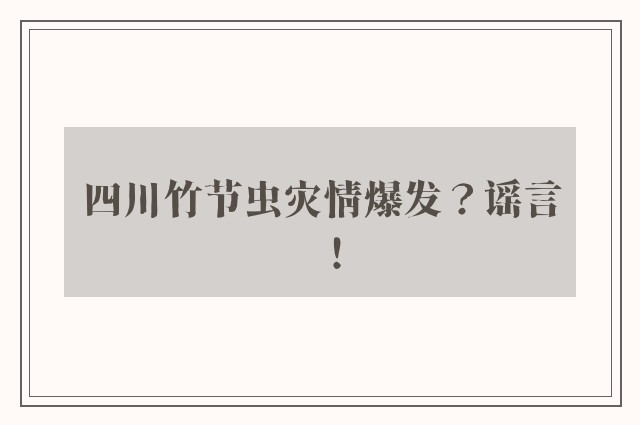 四川竹节虫灾情爆发？谣言！