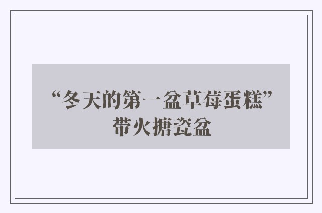 “冬天的第一盆草莓蛋糕”带火搪瓷盆