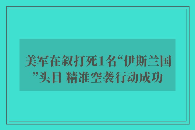 美军在叙打死1名“伊斯兰国”头目 精准空袭行动成功