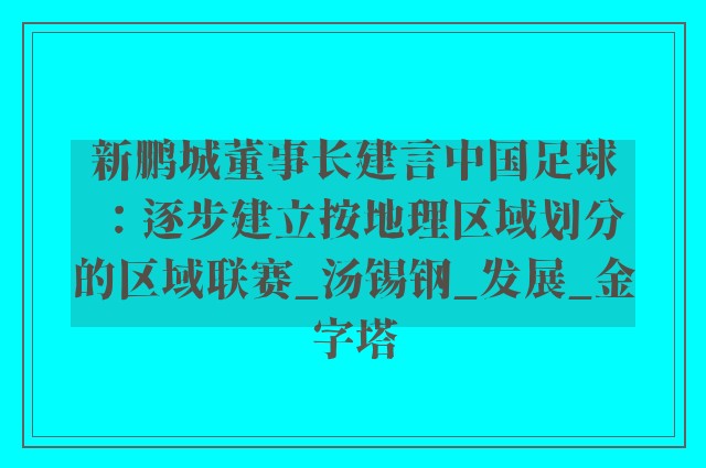 新鹏城董事长建言中国足球：逐步建立按地理区域划分的区域联赛_汤锡钢_发展_金字塔