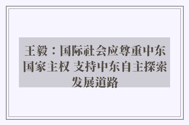 王毅：国际社会应尊重中东国家主权 支持中东自主探索发展道路