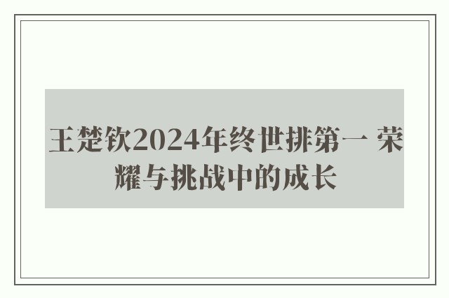 王楚钦2024年终世排第一 荣耀与挑战中的成长