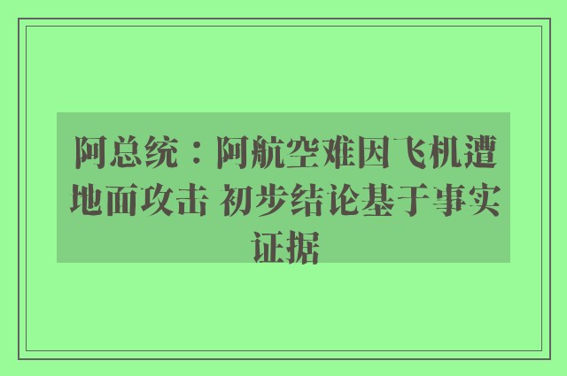 阿总统：阿航空难因飞机遭地面攻击 初步结论基于事实证据