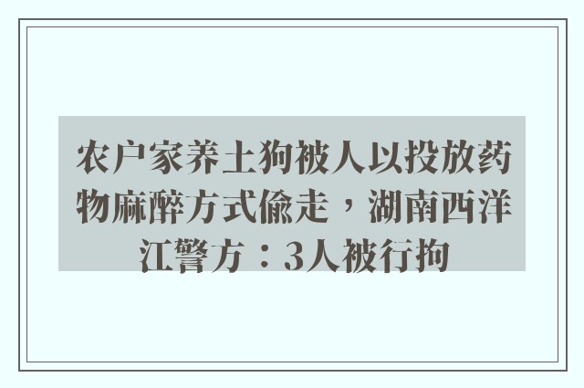 农户家养土狗被人以投放药物麻醉方式偷走，湖南西洋江警方：3人被行拘